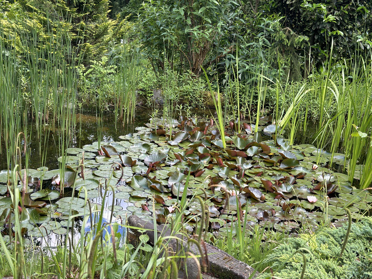Kanton Aargau